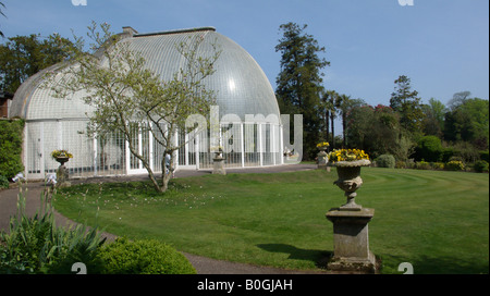 Palm House Jardins Botaniques de Bicton à Devon Banque D'Images