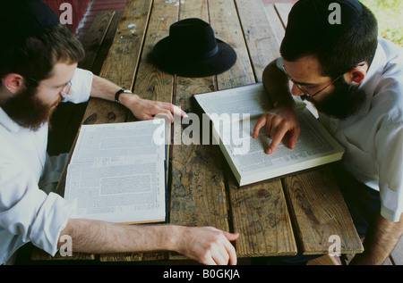 Les hommes juifs orthodoxes la lecture de la Torah à une école d'été juif, USA. Banque D'Images