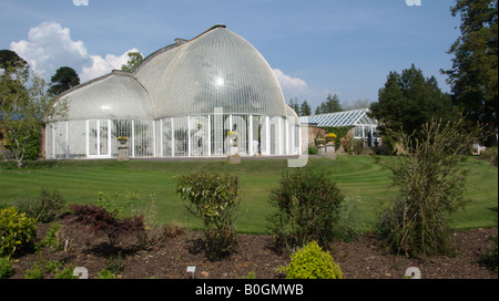 Palm House Jardins Botaniques de Bicton à Devon Banque D'Images