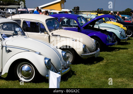 VW Coccinelle la file à un salon de voitures Banque D'Images