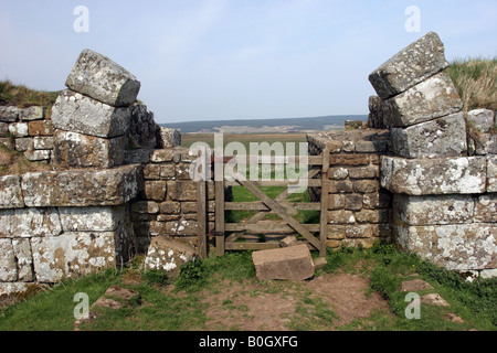 37 Km Château sur mur d'Hadrien près de Northumberland Royaume-uni Housesteads Fort Banque D'Images