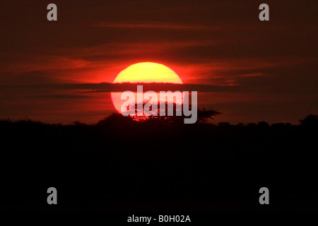 Rising Sun africaine BOtswana Banque D'Images