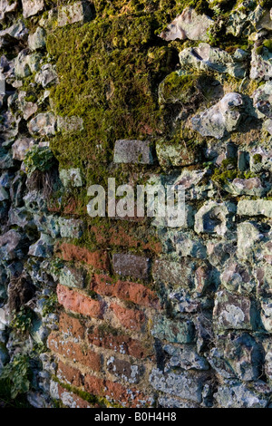 Une vieille brique en argile recouverte de mousse et de flintstone wall Medmenham, Buckinghamshire, Angleterre Banque D'Images