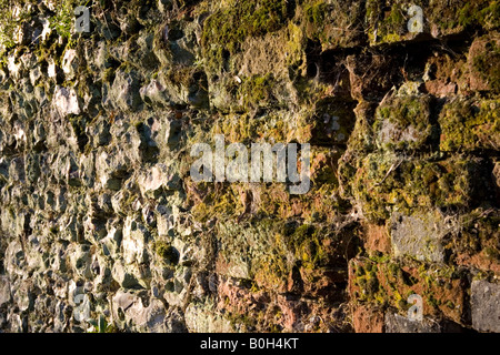 Une vieille brique en argile recouverte de mousse et de flintstone wall Medmenham, Buckinghamshire, Angleterre. Banque D'Images