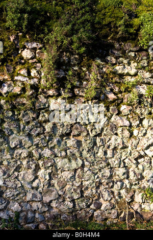 Une vieille brique en argile recouverte de mousse et de flintstone wall Medmenham, Buckinghamshire, Angleterre. Banque D'Images