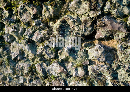 Une vieille brique en argile recouverte de mousse et de flintstone wall Medmenham, Buckinghamshire, Angleterre Banque D'Images