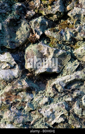 Une vieille brique en argile recouverte de mousse et de flintstone wall Medmenham, Buckinghamshire, Angleterre Banque D'Images