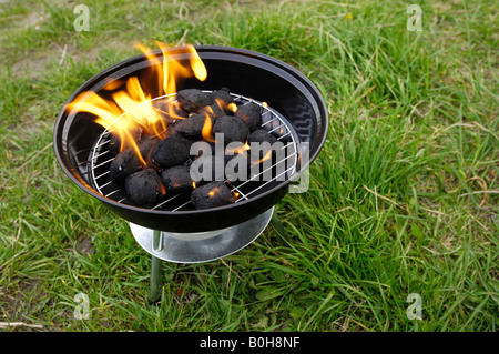 Barbecue dans la nature Banque D'Images