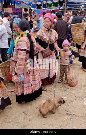 Bac Ha, Ha Giang au marché des animaux, Province du nord du Vietnam, Asie du sud-est Banque D'Images