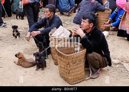 Bac Ha, Ha Giang au marché des animaux, Province du nord du Vietnam, Asie du sud-est Banque D'Images