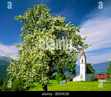 Église paroissiale de Moesern au printemps, vallée de l'Inn, Tyrol, Autriche Banque D'Images