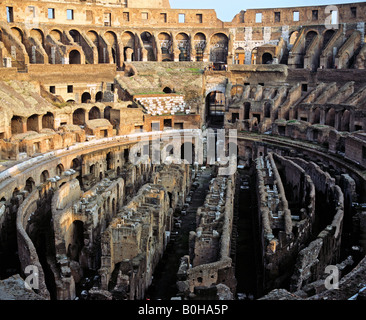 Colisée, de l'intérieur, la structure souterraine, l'Hypogeum, amphithéâtre, Rome, Italie Banque D'Images