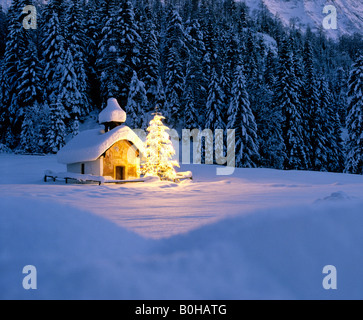 Chapelle près de Elmau, crépuscule, la neige paysage d'hiver, arbre de Noël, la Haute-Bavière, Bavière, Allemagne Banque D'Images