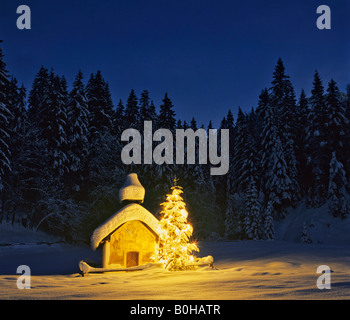 Chapelle près de Elmau, crépuscule, la neige paysage d'hiver, arbre de Noël, la Haute-Bavière, Bavière, Allemagne Banque D'Images