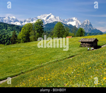 Les Randonneurs marchant le long d'un chemin, Schlattan près de Garmisch-Partenkirchen, gamme Wetterstein, Alpspitze, Upper Bavaria, Bavaria, Germa Banque D'Images