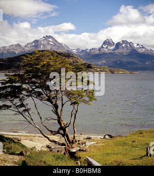 Ushuaia, la ville la plus méridionale de l'Argentine, vue sur le canal de Beagle vers les Andes chiliennes, Tierra del Fuego National Park, Tie Banque D'Images