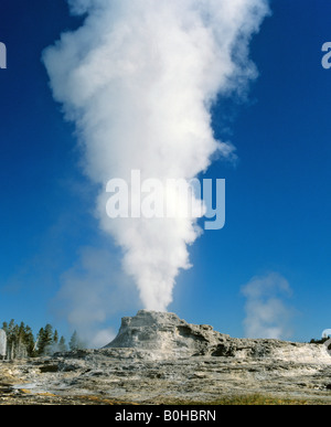 Château de geyser, le Parc National de Yellowstone, Rocky Mountains, Wyoming, USA Banque D'Images