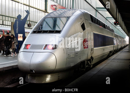 Le TGV sur la ligne Paris - Stuttgart, la gare centrale de Stuttgart, Bade-Wurtemberg, Allemagne Banque D'Images