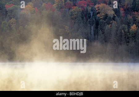 Morning Mist rising from Lac Bouchard Lake, l'été indien, le Parc National de la Mauricie, Québec, l'Est du Canada Banque D'Images