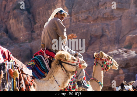 Homme bédouin avec des chameaux, Petra, Jordanie, Moyen-Orient Banque D'Images