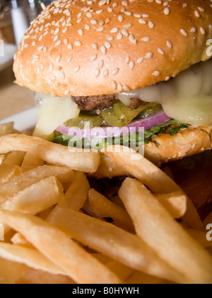 Cheeseburger et frites dans l'assiette, Washington DC, USA Banque D'Images