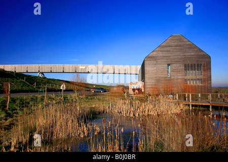 Centre d'accueil et de l'étang WWT Welney Cambridgeshire Angleterre Grande-bretagne réserve lave UK Banque D'Images