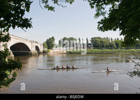 Thames rameurs tête sous Chiswick Bridge vu de la Thames Path Banque D'Images