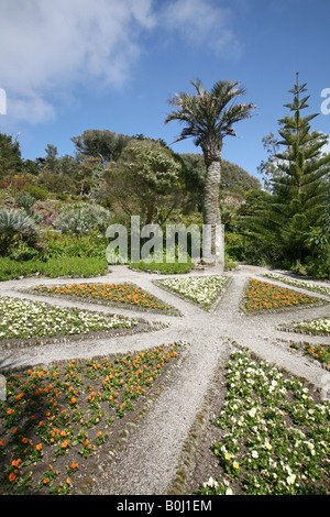 Jardins de l'abbaye de Tresco, Tresco, Îles Scilly, UK Banque D'Images