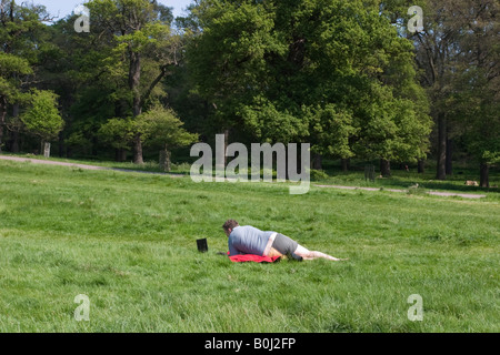 Un homme à l'aide d'un ordinateur portable dans le soleil du printemps à Richmond Park Banque D'Images