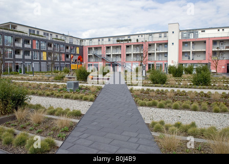 Logements sociaux, avec jardins résistantes à la sécheresse, Herne, Rhénanie du Nord-Westphalie, Allemagne. Banque D'Images