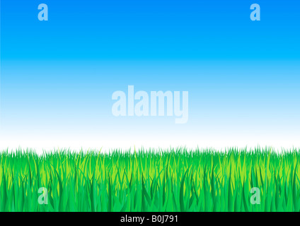 Vector illustration de quatre groupes séparés très détaillées d'herbe décrit sur une pente, ciel bleu Banque D'Images