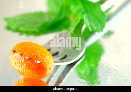 Les kumquats frais réfrigéré à la menthe sur un fond réfléchissant avec une faible profondeur de champ Banque D'Images