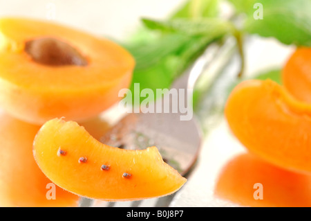 Les abricots frais réfrigéré à la menthe sur un fond réfléchissant avec une faible profondeur de champ Banque D'Images