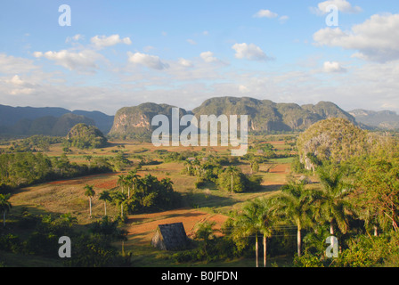 Vue panoramique sur la valle de vinales cuba Banque D'Images