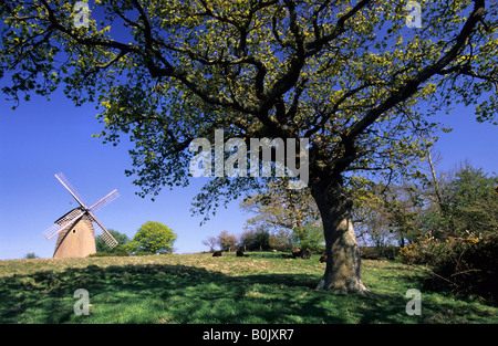Printemps vue de moulin à vent de Bembridge Bembridge Isle of Wight Banque D'Images