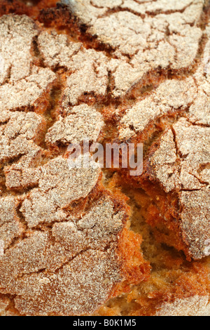 Libre de croûte de pain de maïs portugais Banque D'Images