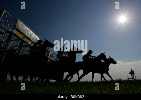 Les coureurs et les coureurs sortent de la cale au Brighton Race Course. Photo par James Boardman Banque D'Images