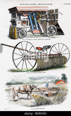 Des outils agricoles, 19e siècle. Artiste : Inconnu Banque D'Images