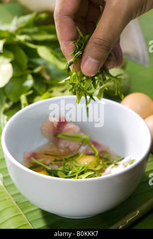 Préparation du poisson à la noix de coco et curry Étape 2 Ajouter tranches de lime kafir pour la couleur et la saveur de l'Ecole de cuisine Jungle Chiang Mai Thaïlande Banque D'Images