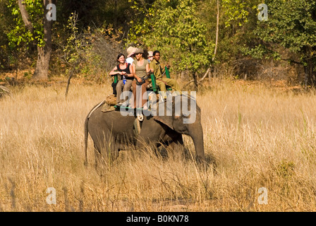 Les touristes de randonnée dans la réserve de tigres de Bandhavgarh