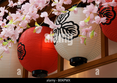 Lanternes rouge et blanc indiquant un restaurant ou un bar dans la région d'Asakusa de Tokyo sont décorées avec des fleurs de cerisiers en plastique Banque D'Images