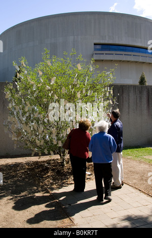 Les visiteurs regarder Arbre des désirs pour Washington D C par Yoko Ono au Hirshhorn Museum and Sculpture Garden USA Banque D'Images