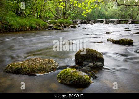 L'ancien pont Battant Tarr Étapes traversant la rivière Barle Exmoor National Park en Angleterre Somerset Banque D'Images