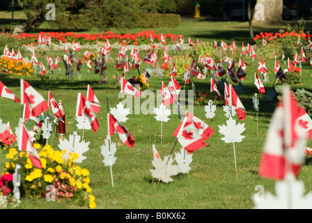 Les drapeaux sur la trappe de tombes ancien combattant canadien doucement dans la brise. Banque D'Images