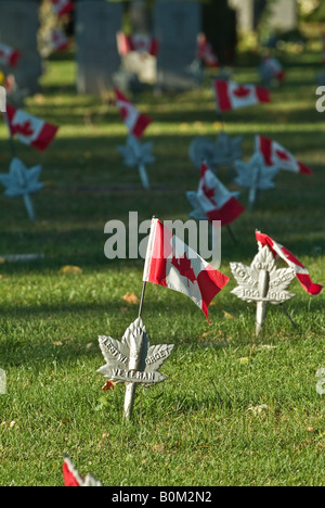 Les drapeaux sur la trappe de tombes ancien combattant canadien doucement dans la brise. Banque D'Images