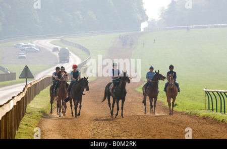 Un groupe de chevaux et jockeys après leur retour au galop sur la lande, la galope, Newmarket, Suffolk, Angleterre Banque D'Images