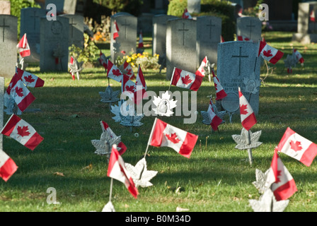 Les drapeaux sur la trappe de tombes ancien combattant canadien doucement dans la brise. Banque D'Images