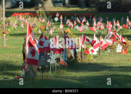 Les drapeaux sur la trappe de tombes ancien combattant canadien doucement dans la brise. Banque D'Images