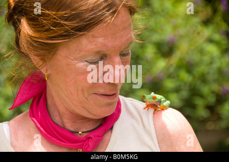 COSTA RICA Red eyed Tree Frog reposant sur l'épaule de femme Banque D'Images