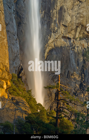 Détail de Bridalveil Fall et rocher Yosemite National Park California Banque D'Images